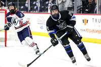 Dodge County vs Hibbing-Chisholm-VCA