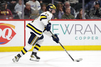 Grand Rapids vs Rosemount