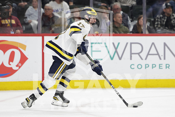 Grand Rapids vs Rosemount