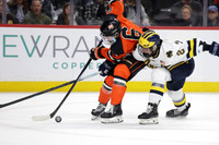 Grand Rapids vs Rosemount