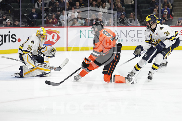 Grand Rapids vs Rosemount