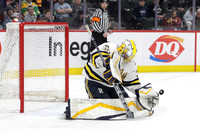 Grand Rapids vs Rosemount