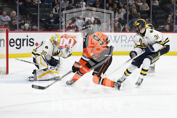 Grand Rapids vs Rosemount