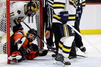 Grand Rapids vs Rosemount