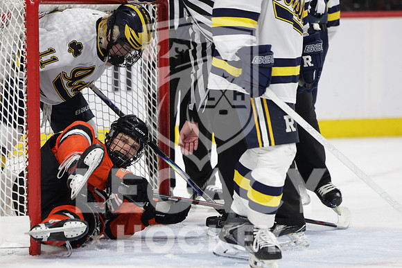 Grand Rapids vs Rosemount