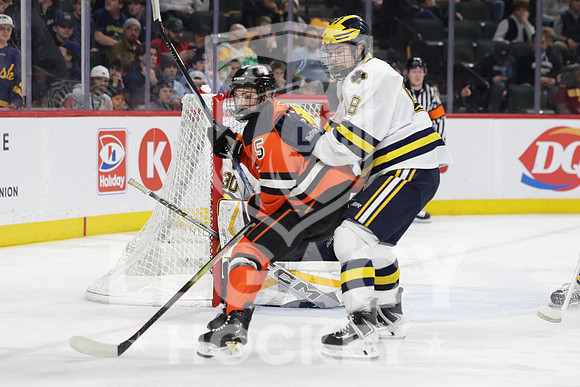 Grand Rapids vs Rosemount