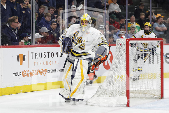 Grand Rapids vs Rosemount