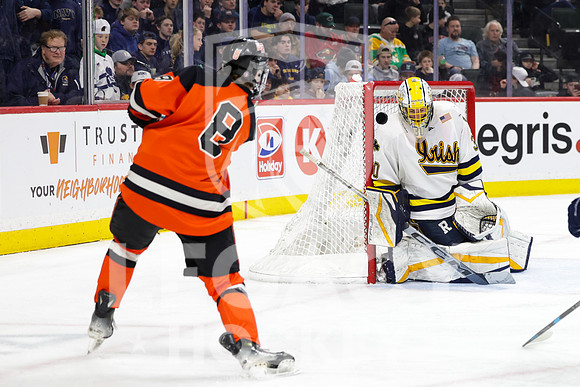 Grand Rapids vs Rosemount