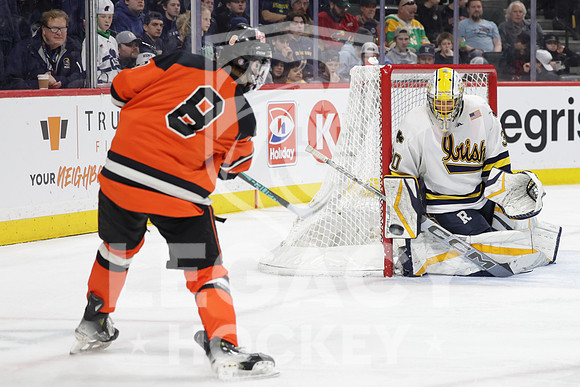 Grand Rapids vs Rosemount