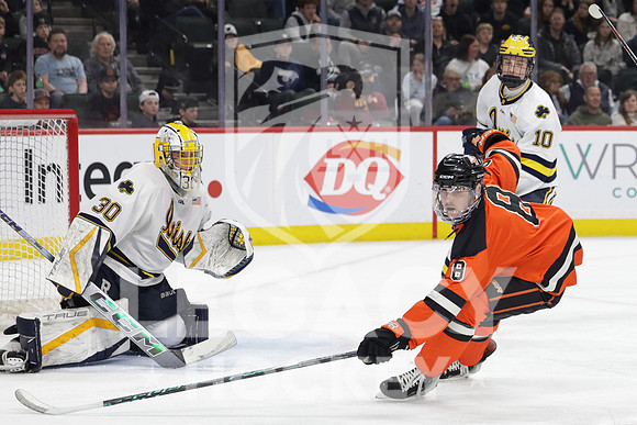 Grand Rapids vs Rosemount