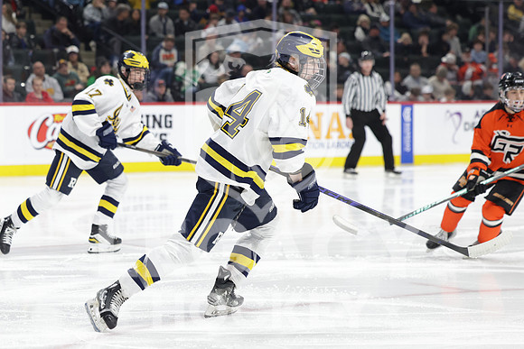 Grand Rapids vs Rosemount