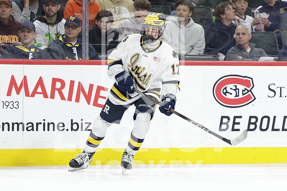 Grand Rapids vs Rosemount