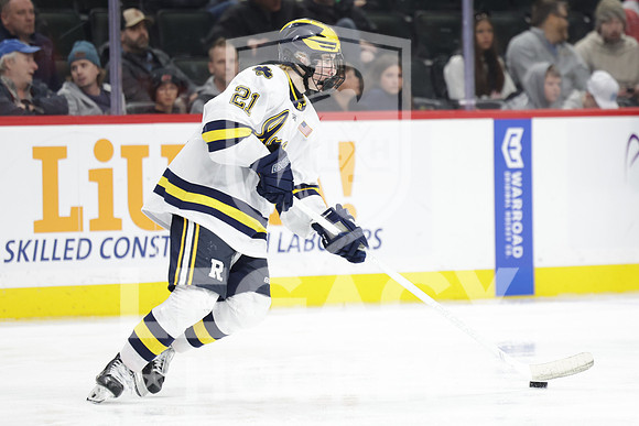 Grand Rapids vs Rosemount