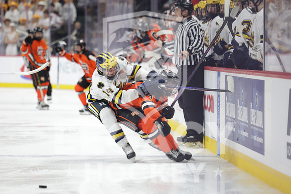 Grand Rapids vs Rosemount