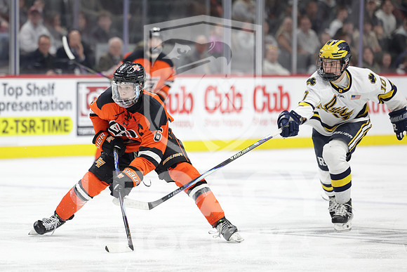 Grand Rapids vs Rosemount