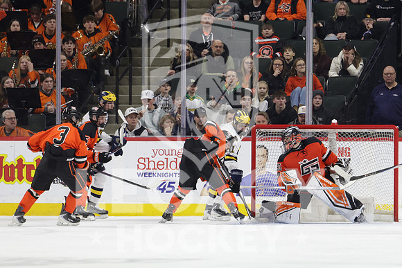 Grand Rapids vs Rosemount