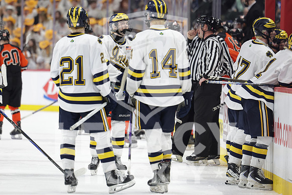 Grand Rapids vs Rosemount