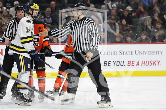 Grand Rapids vs Rosemount