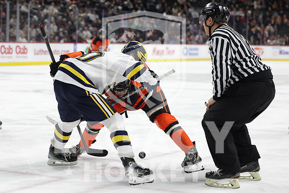 Grand Rapids vs Rosemount