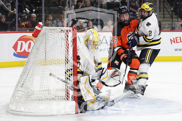 Grand Rapids vs Rosemount