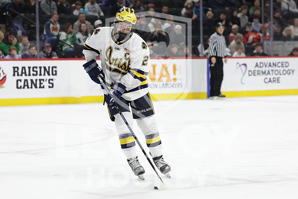 Grand Rapids vs Rosemount
