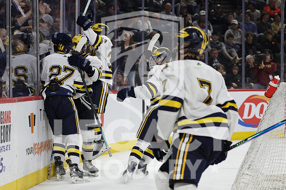 Grand Rapids vs Rosemount