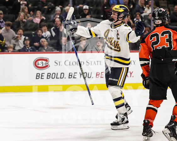 Grand Rapids vs Rosemount