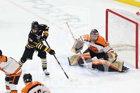 Warroad vs Delano