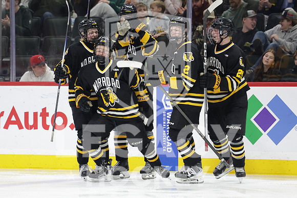 Warroad vs Delano