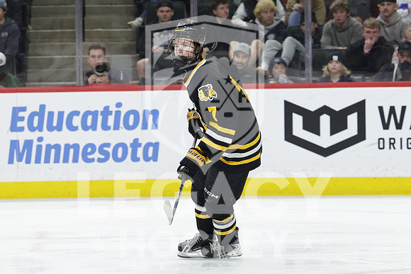 Warroad vs Delano
