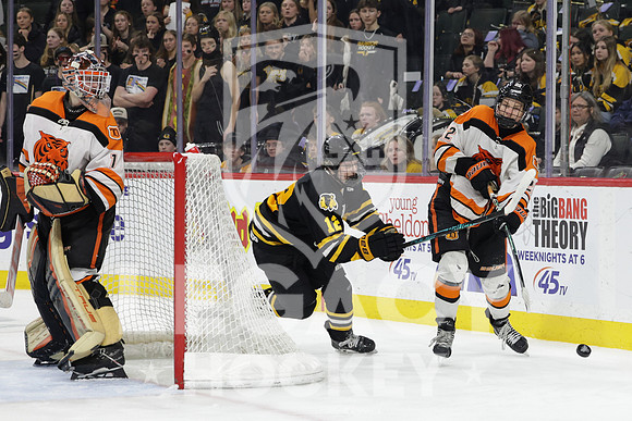 Warroad vs Delano