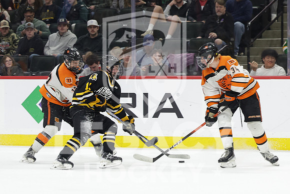Warroad vs Delano