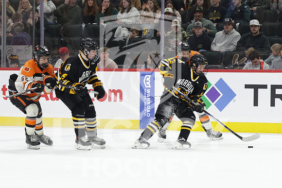 Warroad vs Delano