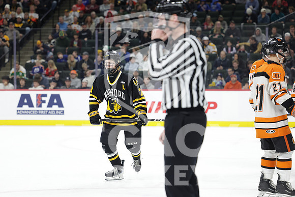 Warroad vs Delano