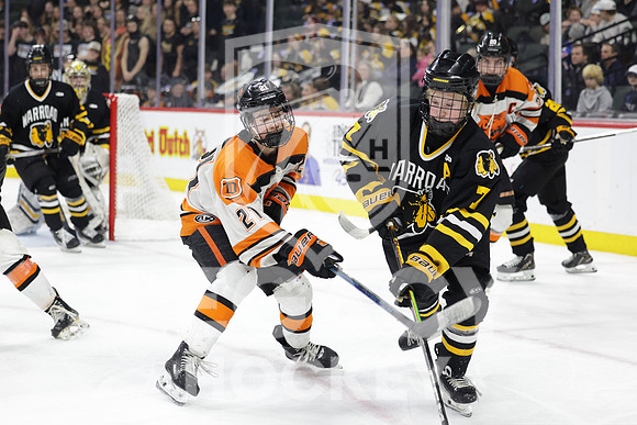 Warroad vs Delano
