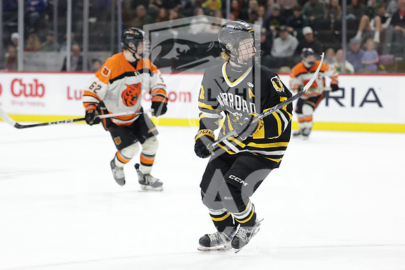 Warroad vs Delano