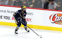 Rosemount vs Minnetonka