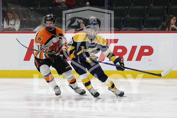 Mahtomedi vs Delano