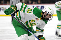 Rosemount vs Edina