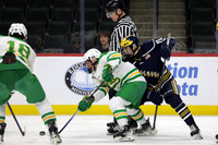 Rosemount vs Edina