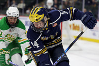 Rosemount vs Edina