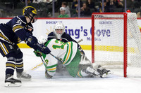 Rosemount vs Edina