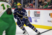 Rosemount vs Edina