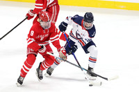 Luverne vs Hibbing/Chisholm