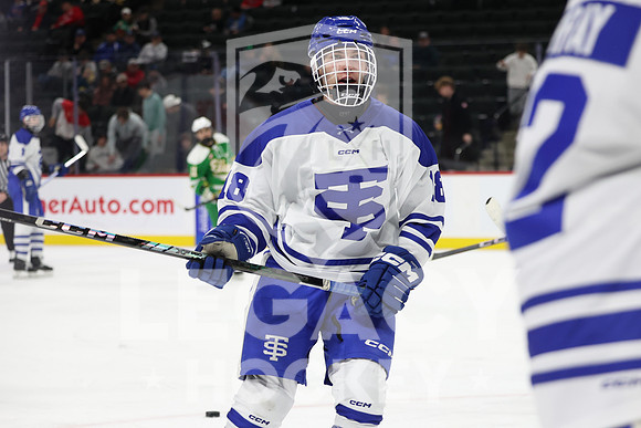 Edina vs St. Thomas Academy