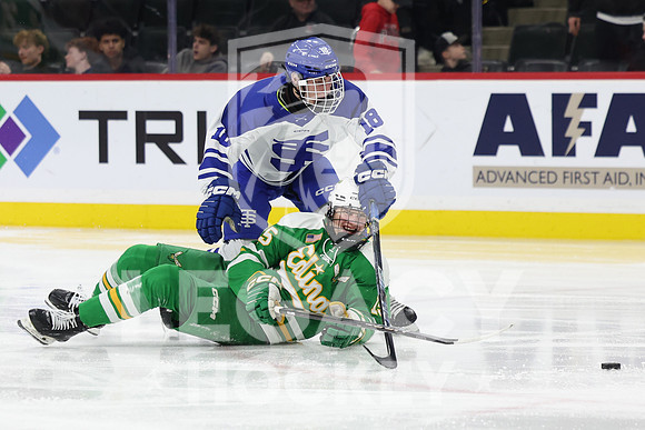 Edina vs St. Thomas Academy