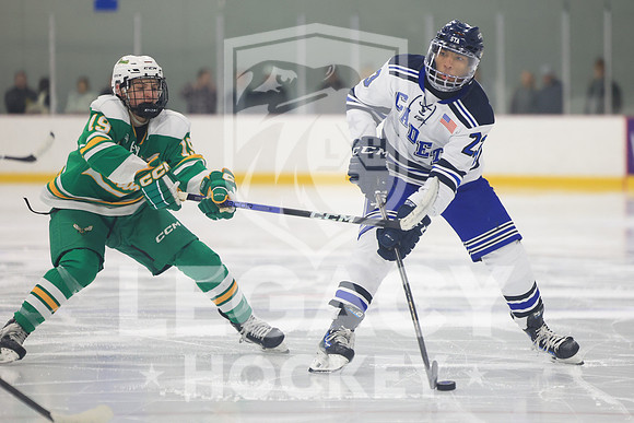 Edina vs St. Thomas Academy