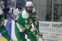 Edina vs St. Thomas Academy