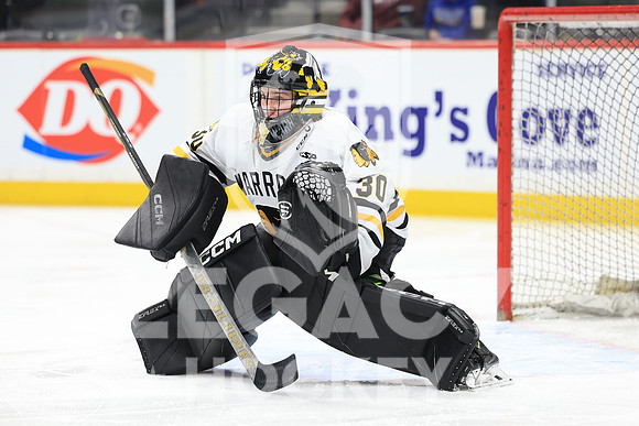 New Ulm vs Warroad