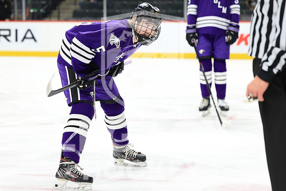 New Ulm vs Warroad